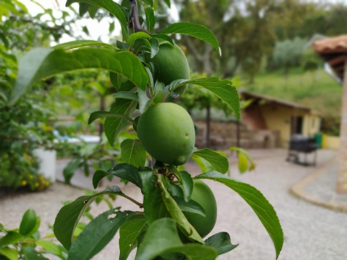 Casa Rural El Bonito Cazalla de la Sierra Dış mekan fotoğraf